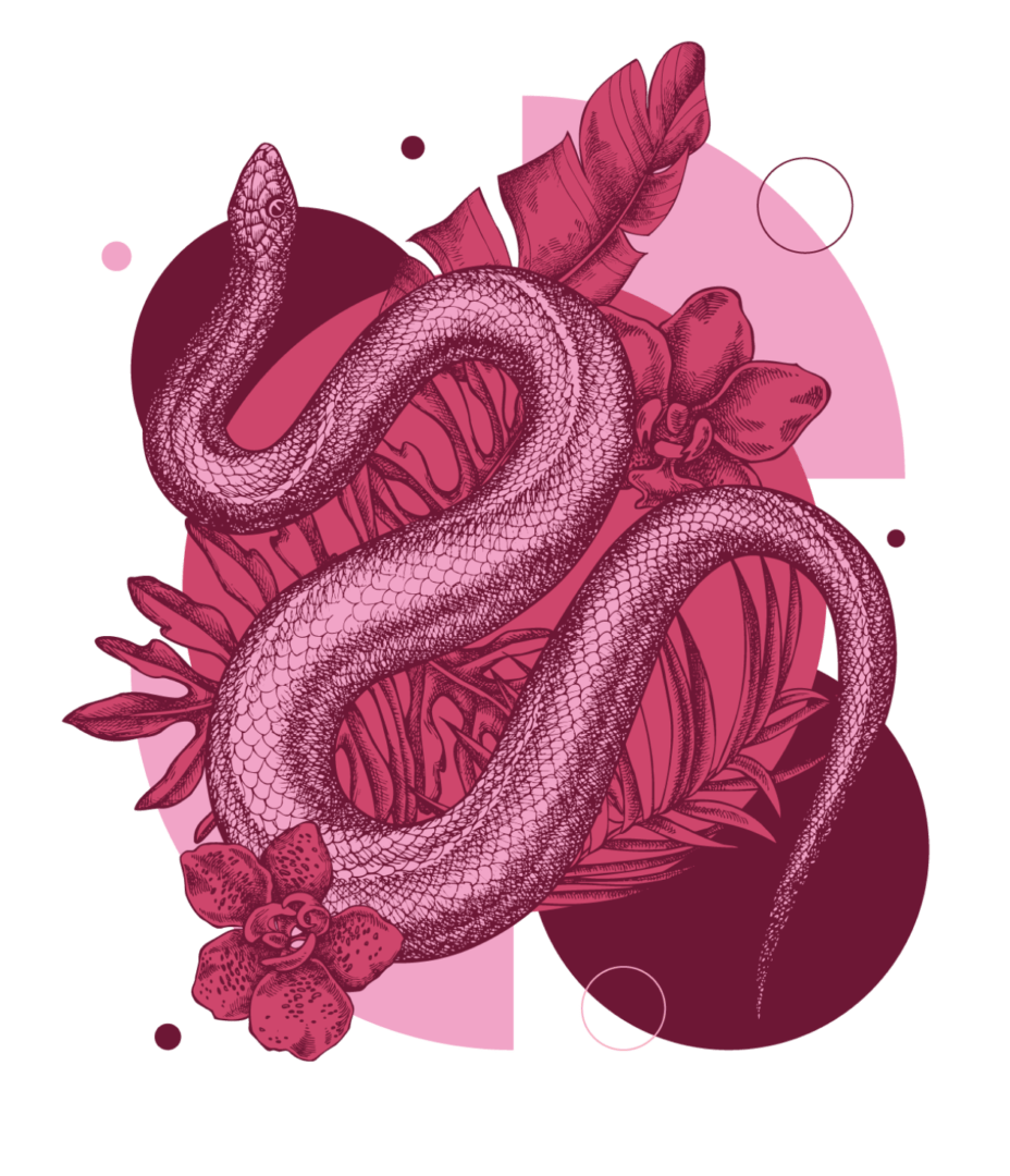 cobra